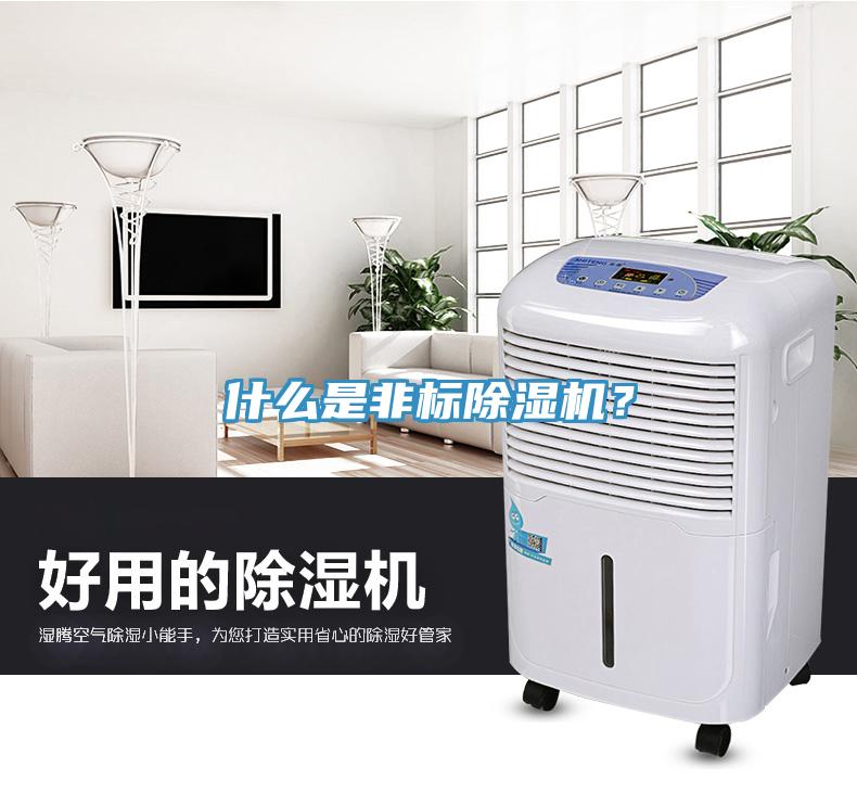 什么是非標除濕機？