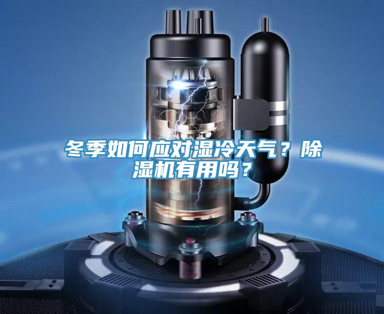 冬季如何應(yīng)對濕冷天氣？除濕機(jī)有用嗎？
