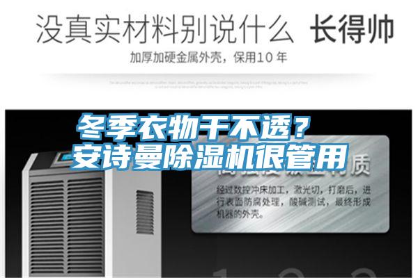 冬季衣物干不透？ 安詩曼除濕機很管用