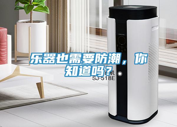 樂(lè)器也需要防潮，你知道嗎？
