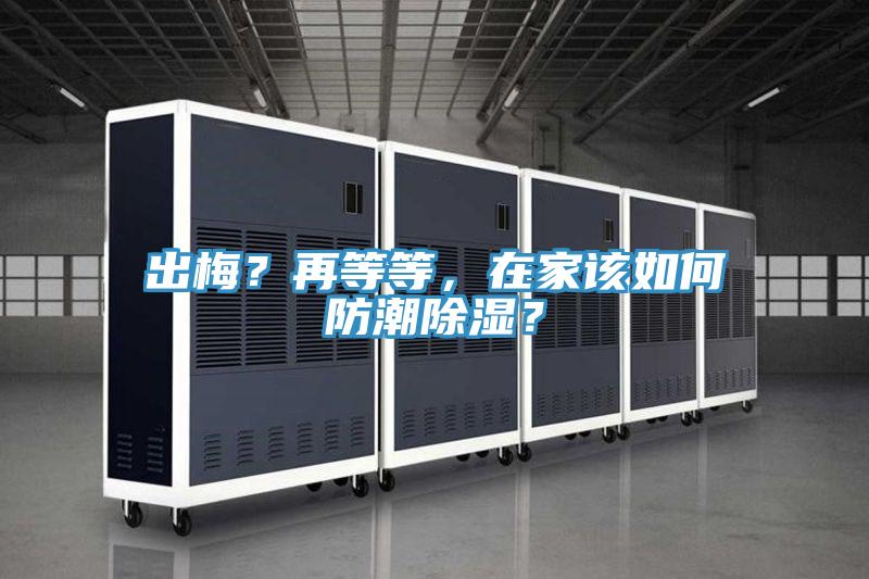 出梅？再等等，在家該如何防潮除濕？