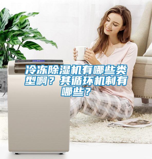 冷凍除濕機有哪些類型啊？其循環(huán)機制有哪些？