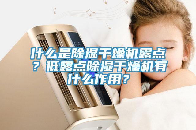 什么是除濕干燥機露點？低露點除濕干燥機有什么作用？