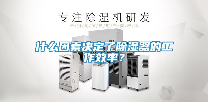 什么因素決定了除濕器的工作效率？