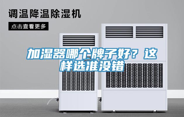 加濕器哪個牌子好？這樣選準(zhǔn)沒錯