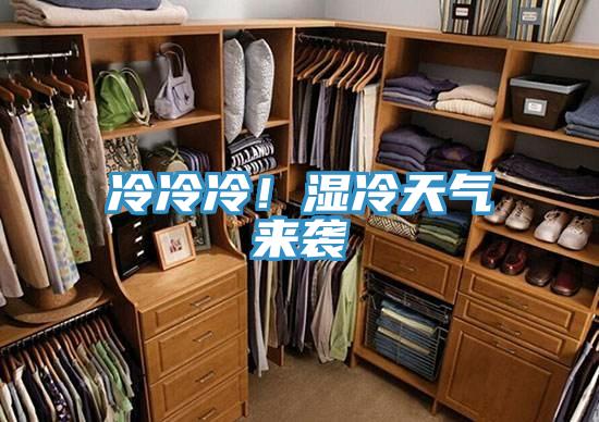 冷冷冷！濕冷天氣來襲