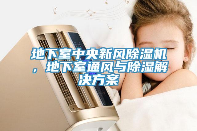 地下室中央新風(fēng)除濕機(jī)，地下室通風(fēng)與除濕解決方案