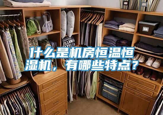 什么是機(jī)房恒溫恒濕機(jī)，有哪些特點(diǎn)？