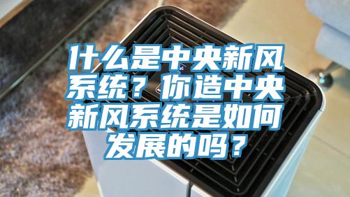 什么是中央新風(fēng)系統(tǒng)？你造中央新風(fēng)系統(tǒng)是如何發(fā)展的嗎？
