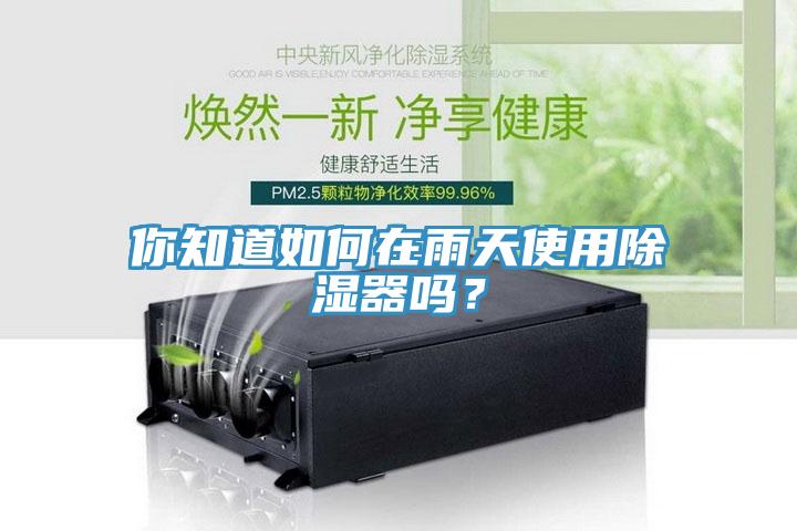 你知道如何在雨天使用除濕器嗎？