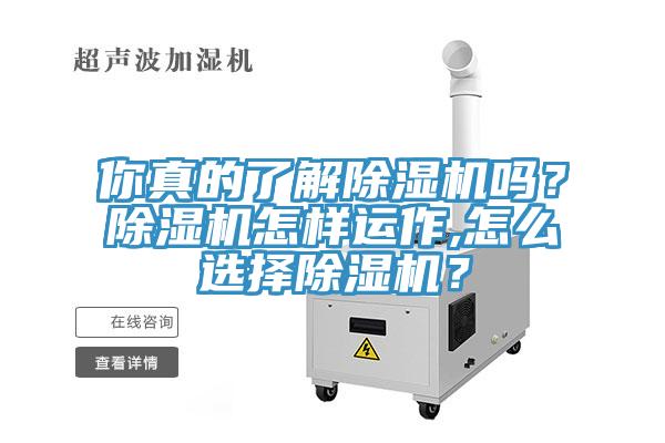 你真的了解除濕機(jī)嗎？除濕機(jī)怎樣運(yùn)作,怎么選擇除濕機(jī)？
