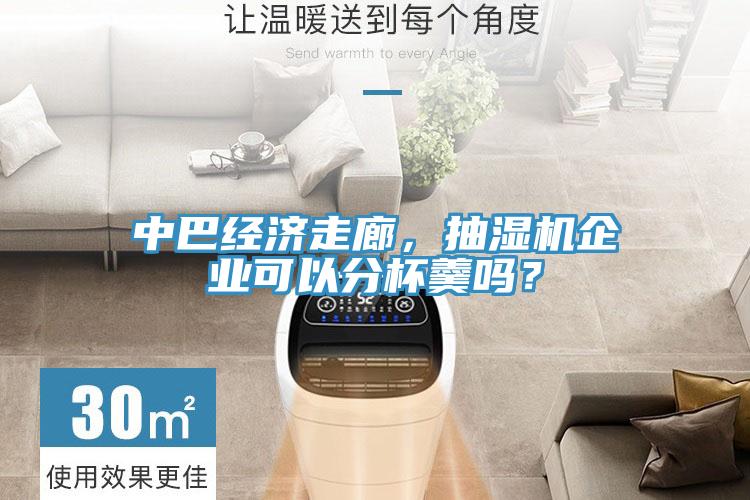 中巴經(jīng)濟走廊，抽濕機企業(yè)可以分杯羹嗎？