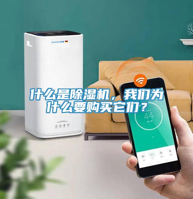 什么是除濕機，我們?yōu)槭裁匆徺I它們？