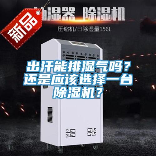 出汗能排濕氣嗎？還是應(yīng)該選擇一臺(tái)除濕機(jī)？