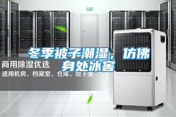 冬季被子潮濕，仿佛身處冰窖