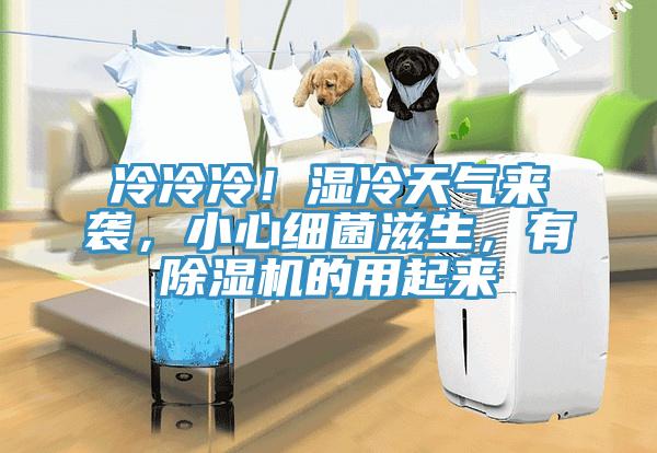 冷冷冷！濕冷天氣來襲，小心細(xì)菌滋生，有除濕機(jī)的用起來