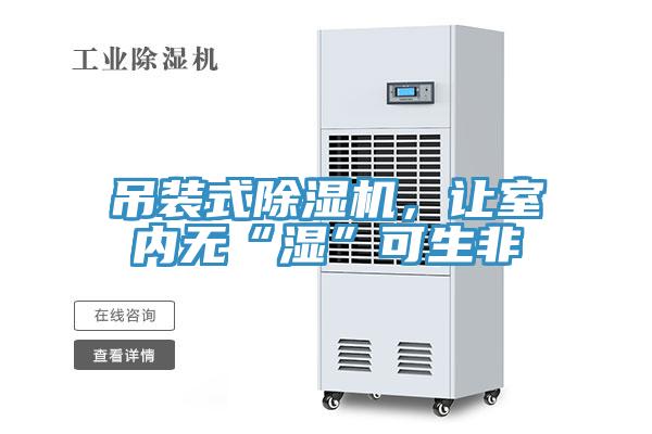 吊裝式除濕機，讓室內無“濕”可生非