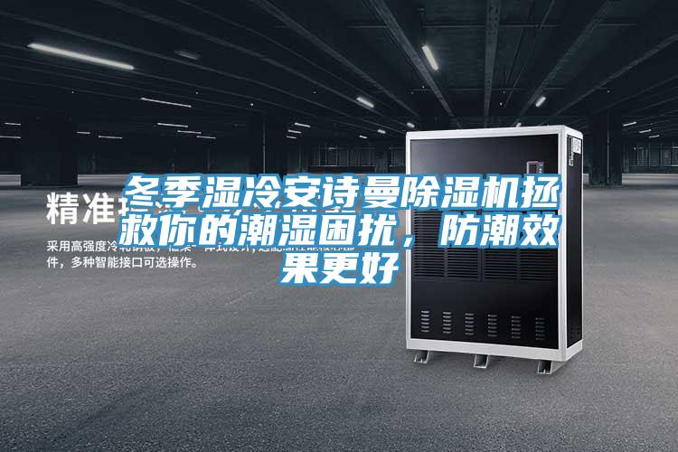 冬季濕冷安詩曼除濕機拯救你的潮濕困擾，防潮效果更好
