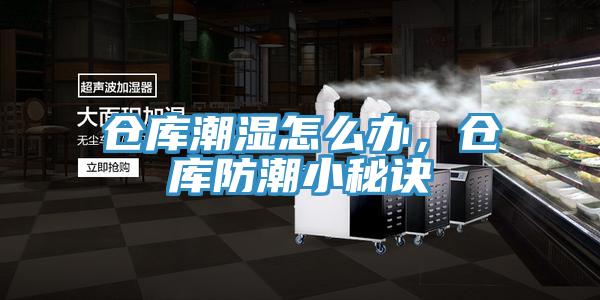 倉庫潮濕怎么辦，倉庫防潮小秘訣