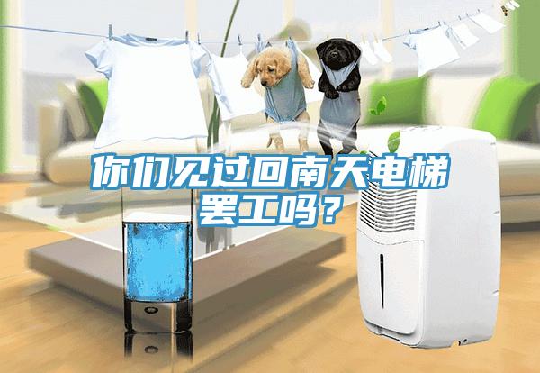 你們見(jiàn)過(guò)回南天電梯罷工嗎？