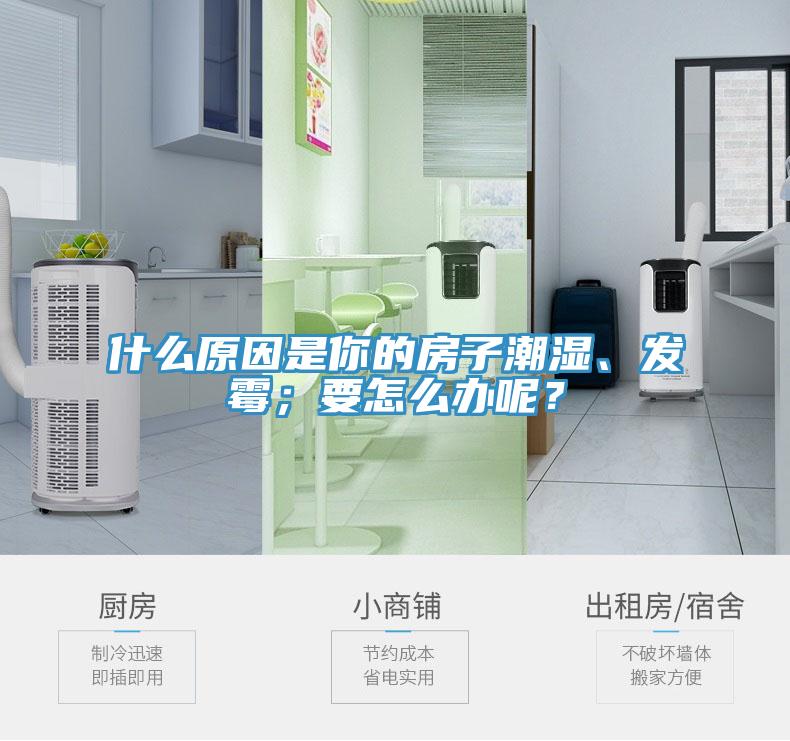 什么原因是你的房子潮濕、發(fā)霉；要怎么辦呢？