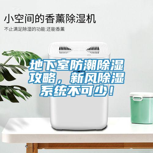 地下室防潮除濕攻略，新風(fēng)除濕系統(tǒng)不可少！
