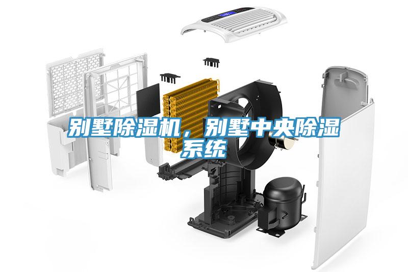 別墅除濕機，別墅中央除濕系統(tǒng)