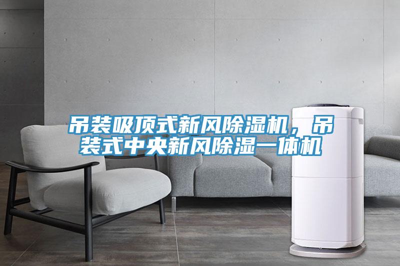 吊裝吸頂式新風除濕機，吊裝式中央新風除濕一體機