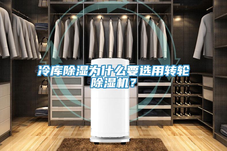 冷庫除濕為什么要選用轉(zhuǎn)輪除濕機？