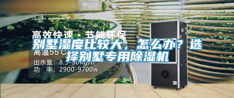 別墅濕度比較大，怎么辦？選擇別墅專用除濕機
