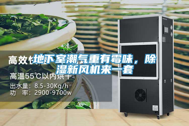 地下室潮氣重有霉味，除濕新風(fēng)機來一套