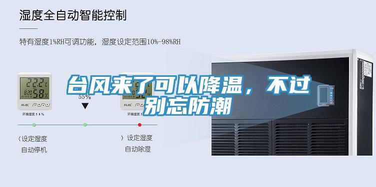 臺風來了可以降溫，不過別忘防潮