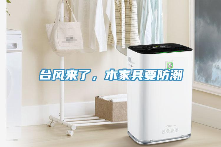 臺風來了，木家具要防潮