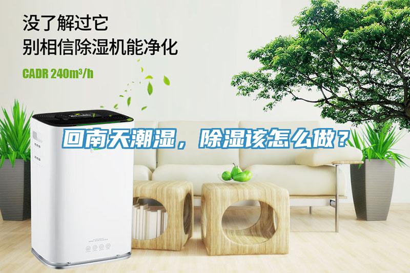 回南天潮濕，除濕該怎么做？