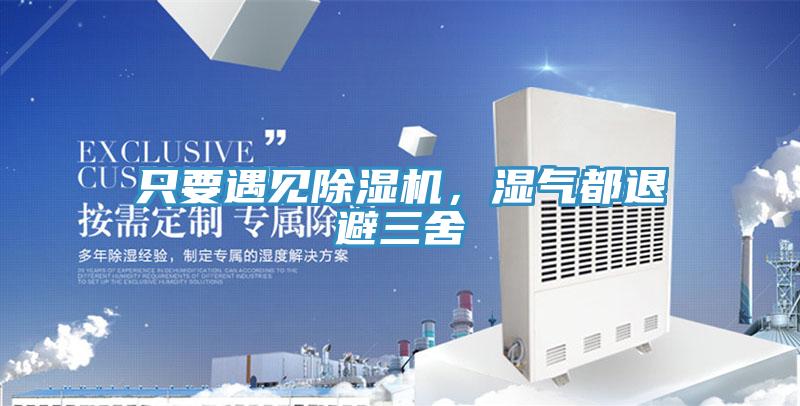 只要遇見除濕機，濕氣都退避三舍