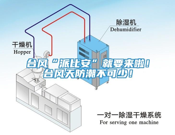 臺風“派比安”就要來啦！臺風天防潮不可少！