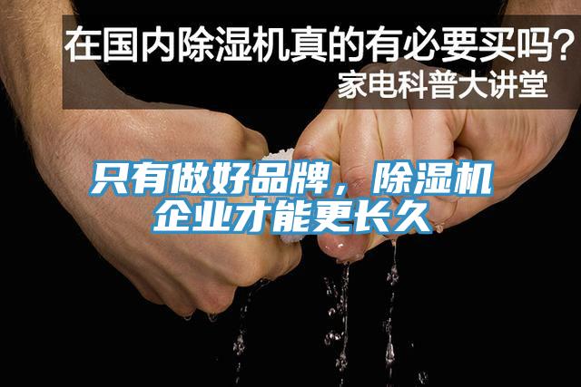 只有做好品牌，除濕機企業(yè)才能更長久
