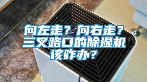 向左走？向右走？三叉路口的除濕機該咋辦？