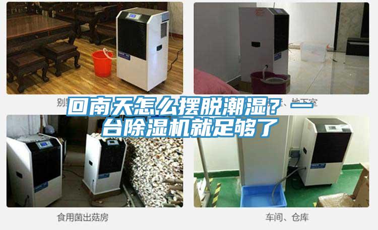 回南天怎么擺脫潮濕？一臺除濕機(jī)就足夠了