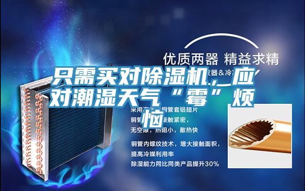 只需買對除濕機，應對潮濕天氣“霉”煩惱