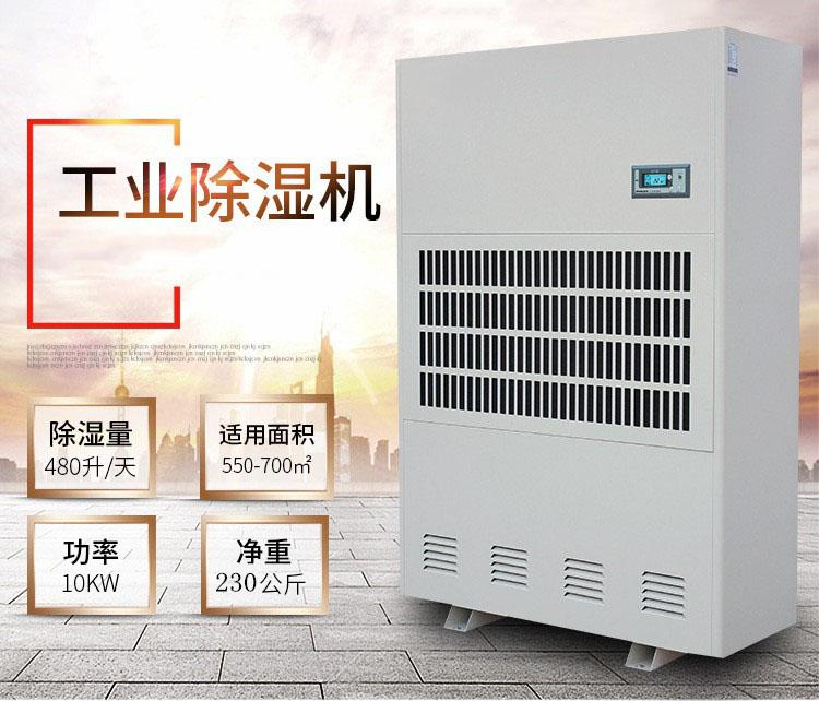 雙十一買什么？除濕機是首選