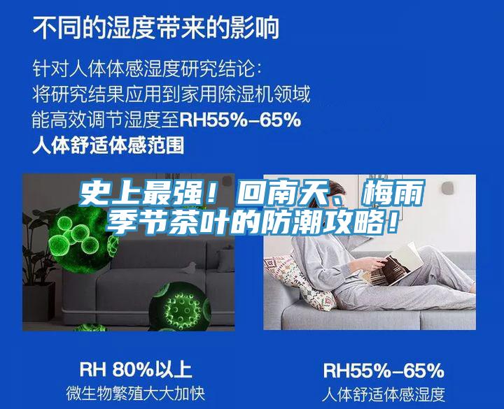 史上最強(qiáng)！回南天、梅雨季節(jié)茶葉的防潮攻略！