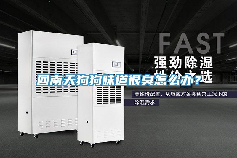 回南天狗狗味道很臭怎么辦？