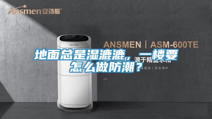 地面總是濕漉漉，一樓要怎么做防潮？