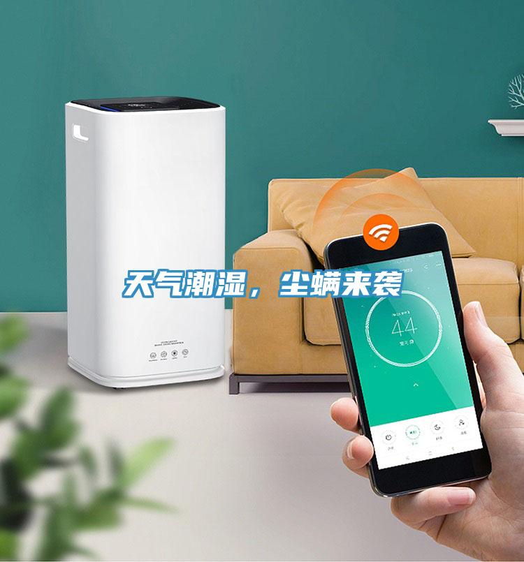 天氣潮濕，塵螨來襲