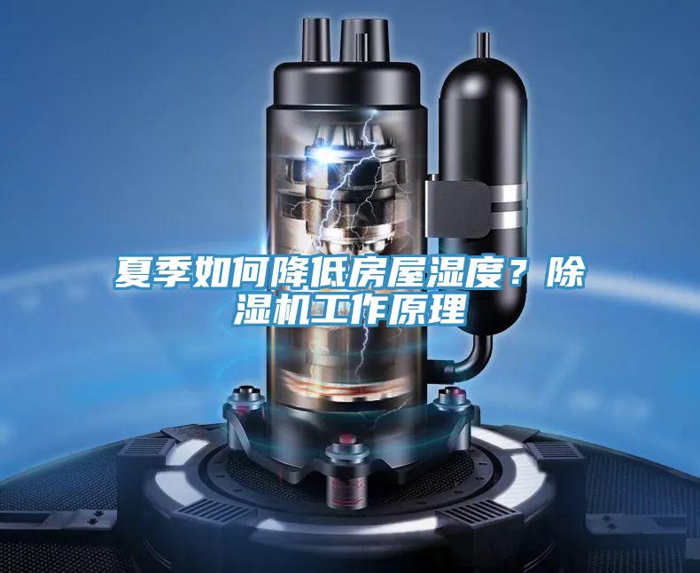 夏季如何降低房屋濕度？除濕機工作原理