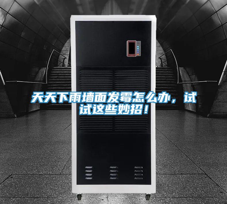 天天下雨墻面發(fā)霉怎么辦，試試這些妙招！