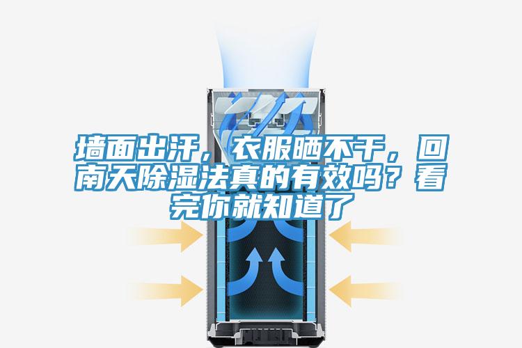 墻面出汗，衣服曬不干，回南天除濕法真的有效嗎？看完你就知道了