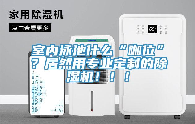 室內(nèi)泳池什么“咖位”？居然用專業(yè)定制的除濕機(jī)?。?！