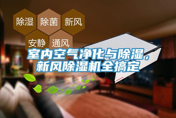 室內(nèi)空氣凈化與除濕，新風(fēng)除濕機全搞定
